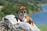 STAFFIE 093